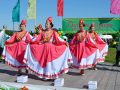 DSC_0046_result