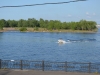 krasnoyarsk142.jpg