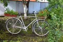 podvor8