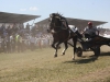 Всероссийский сельский сабантуй 2013 в Барде