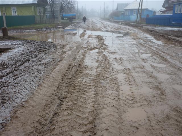 Улица в деревне Новый Ашап